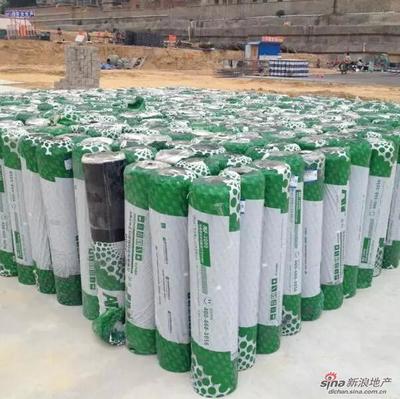“柯瑞普”保駕護航 科順助泰安打造精品工程_新浪地產(chǎn)網(wǎng)