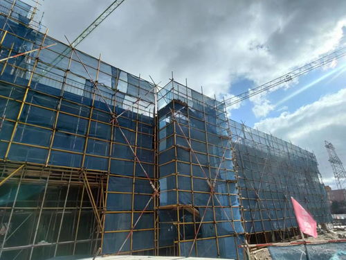 大連理工大學建設(shè)項目進度情況簡報 2023年7 8月